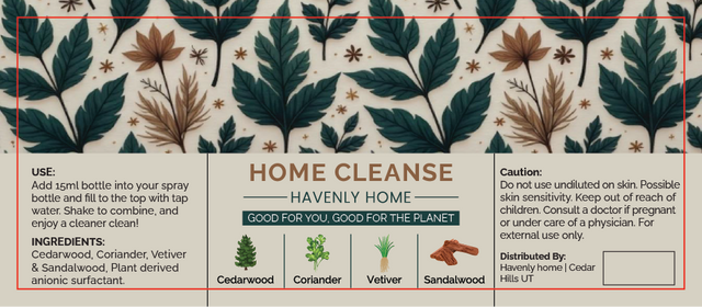 Home Cleanse Kit