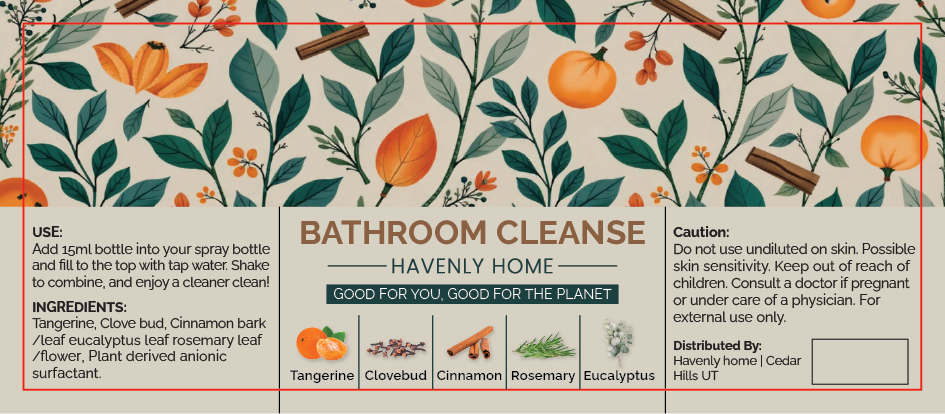 Home Cleanse Kit