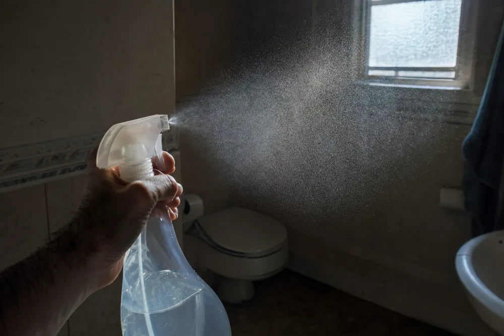 A fine mist of spray droplets hanging in a shaft of window light in a small bathroom